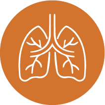 topic icon